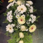 Suza 38