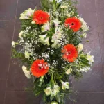 Suza 39
