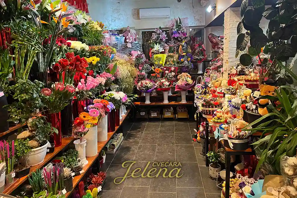 Prodavnica cveća - Mesto gde emocije cvetaju