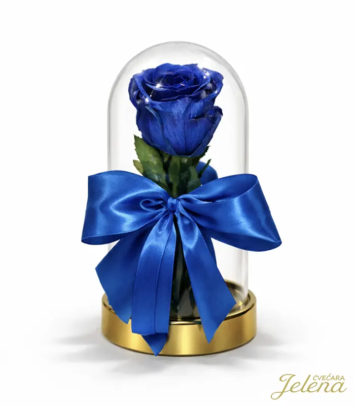 Dehidrirana ruža plava Dehidrirana ruža - Plava