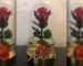 Dehidrirana ruža u zvonu - Večni simbol ljubavi i elegancije