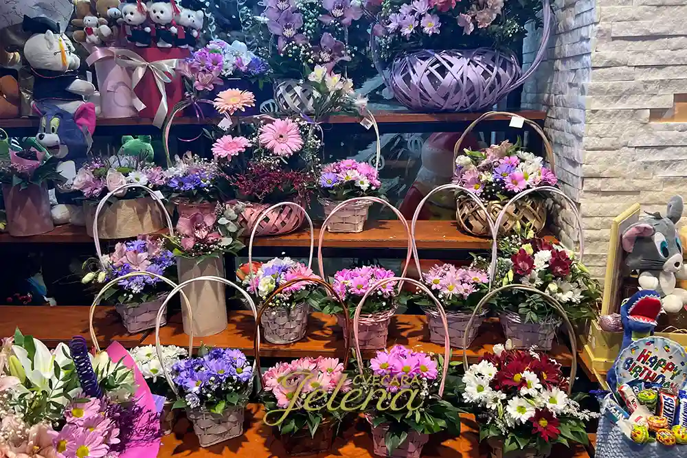 Gde kupiti cveće u Beogradu - Kompletan vodič