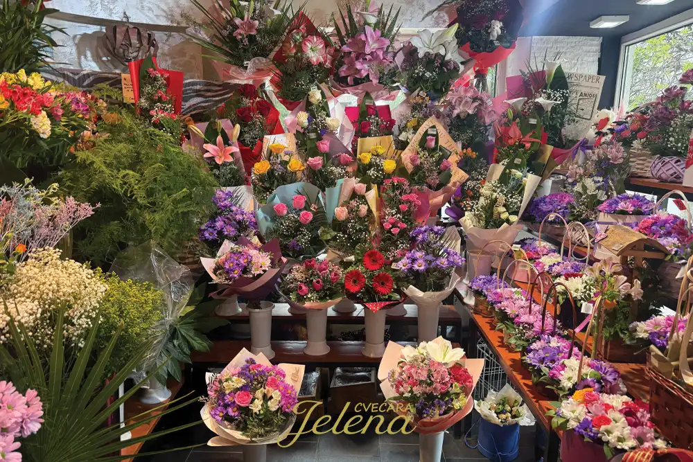 Gde kupiti cveće u Beogradu - Kompletan vodič
