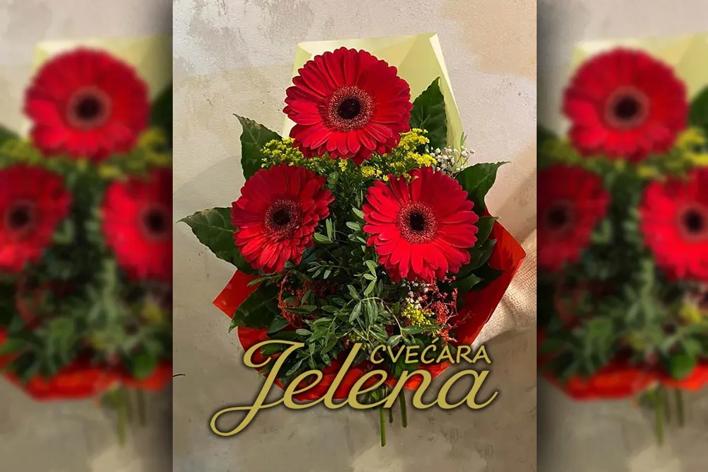 Buket gerbera - Poklon za rođendan - Cvećara Jelena