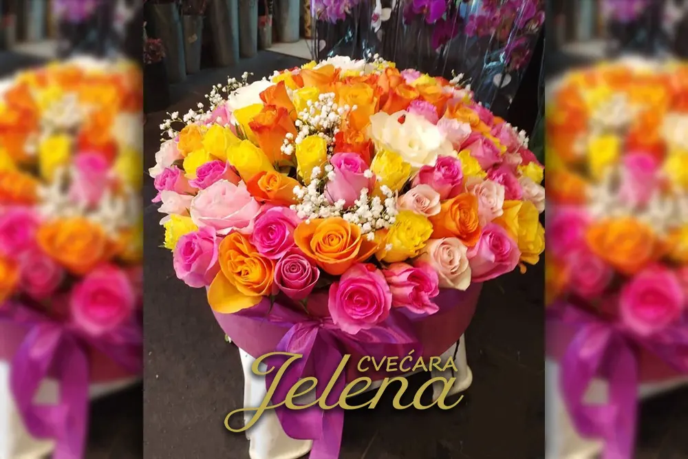 Da li je bolje pokloniti buket ili cveće u kutiji?